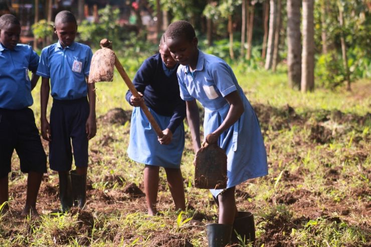Agriculture lessons (1380 x 720 px).jpg