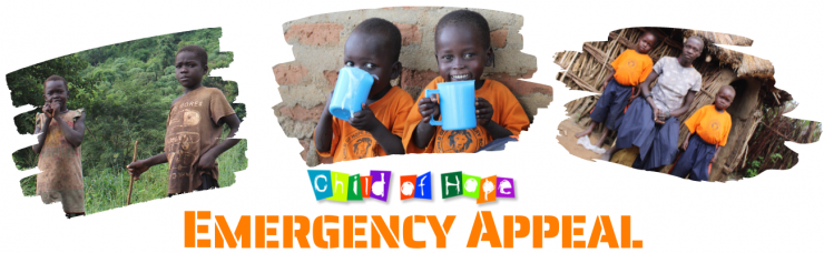 Emergency appeal banner Website (1200 × 400px) (1300 × 400px).png
