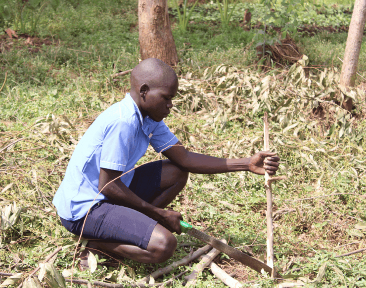 Cutting weeds (1).png