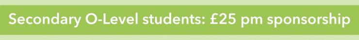 Sponsorship banner nurseryprimary (1).jpg